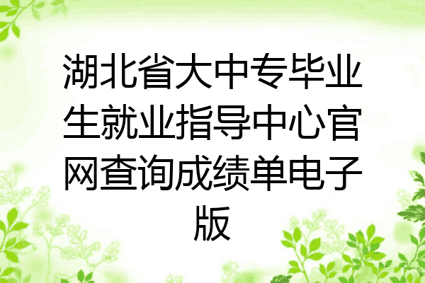 湖北省大中专毕业生就业指导中心官网查询成绩单电子版