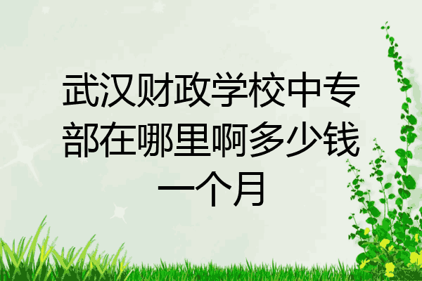 武汉财政学校中专部在哪里啊多少钱一个月