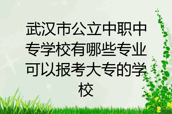 武汉市公立中职中专学校有哪些专业可以报考大专的学校