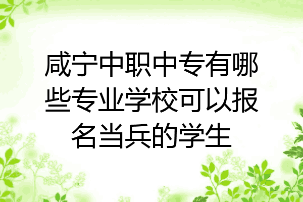 咸宁中职中专有哪些专业学校可以报名当兵的学生