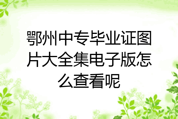 鄂州中专毕业证图片大全集电子版怎么查看呢