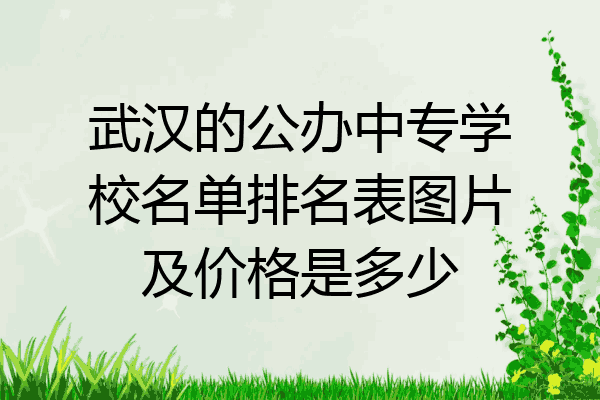武汉的公办中专学校名单排名表图片及价格是多少