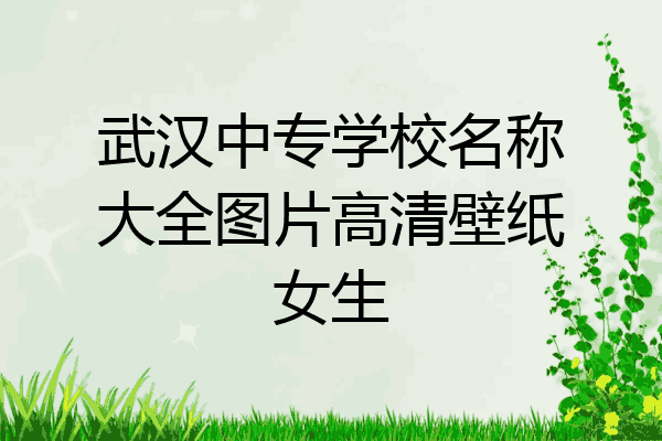 武汉中专学校名称大全图片高清壁纸女生