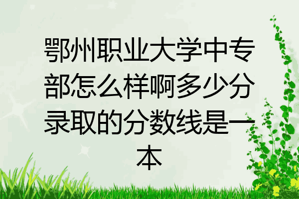 鄂州职业大学中专部怎么样啊多少分录取的分数线是一本