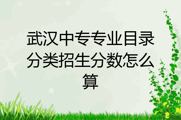 武汉中专专业目录分类招生分数怎么算