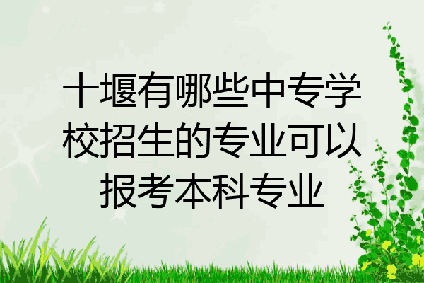 十堰有哪些中专学校招生的专业可以报考本科专业