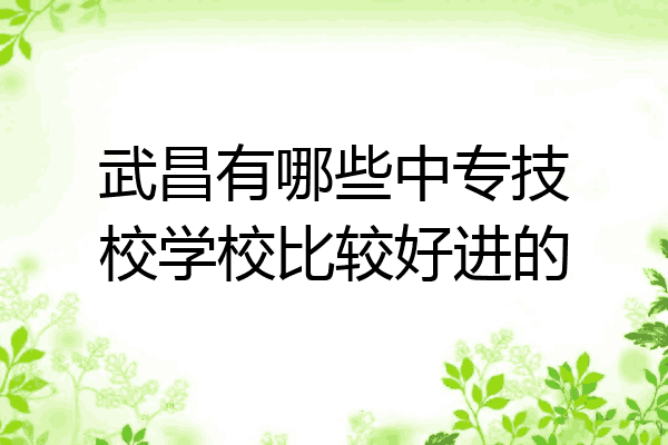 武昌有哪些中专技校学校比较好进的