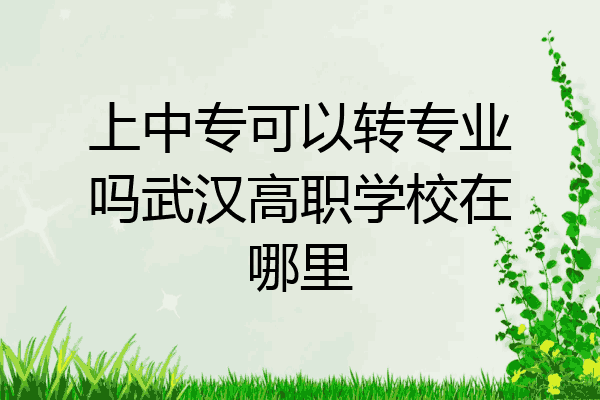 上中专可以转专业吗武汉高职学校在哪里