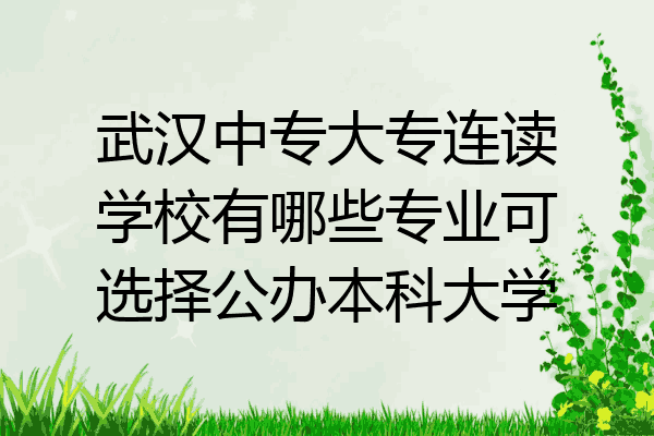 武汉中专大专连读学校有哪些专业可选择公办本科大学