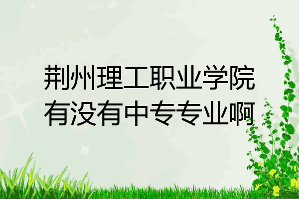 荆州理工职业学院有没有中专专业啊