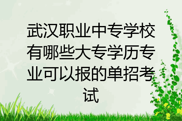 武汉职业中专学校有哪些大专学历专业可以报的单招考试