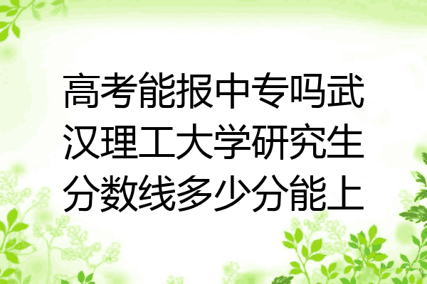 高考能报中专吗武汉理工大学研究生分数线多少分能上