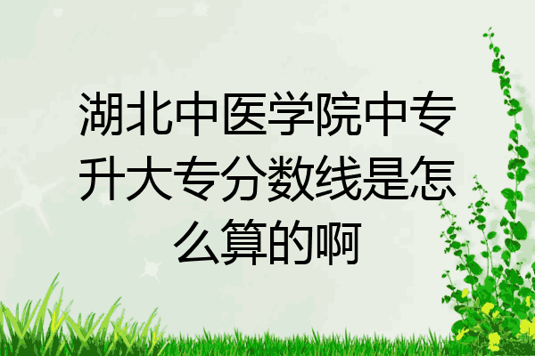 湖北中医学院中专升大专分数线是怎么算的啊