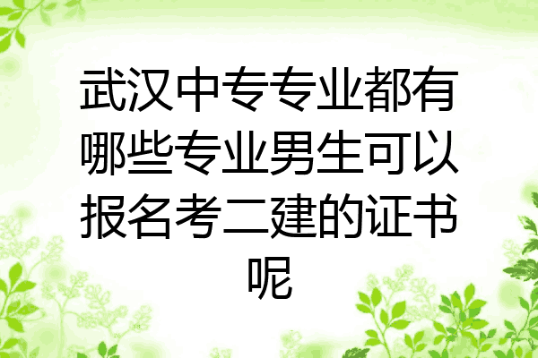 武汉中专专业都有哪些专业男生可以报名考二建的证书呢