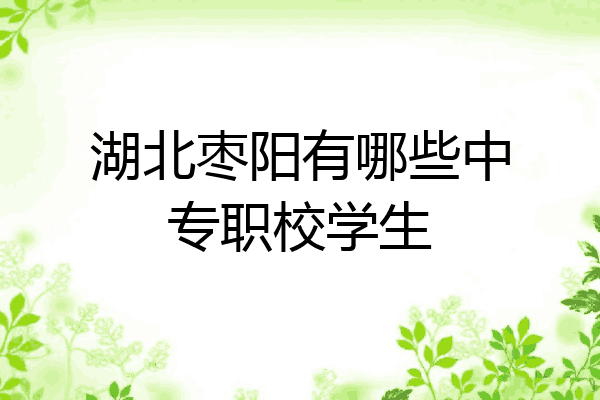 湖北枣阳有哪些中专职校学生