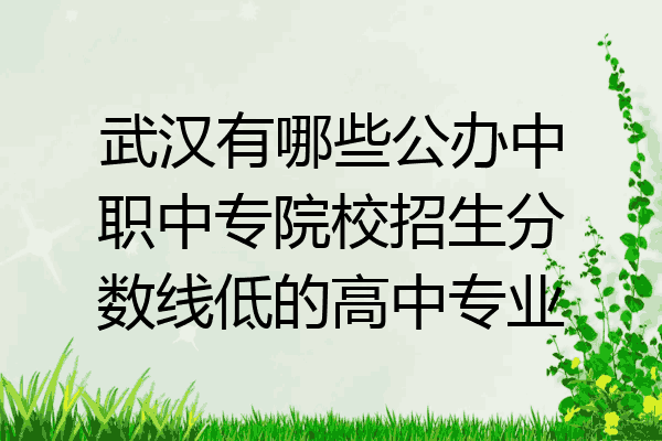 武汉有哪些公办中职中专院校招生分数线低的高中专业