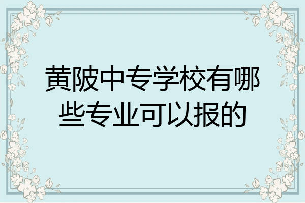 黄陂中专学校有哪些专业可以报的