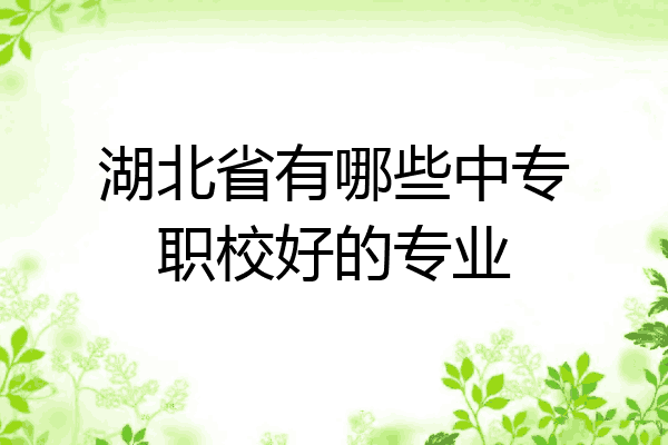 湖北省有哪些中专职校好的专业