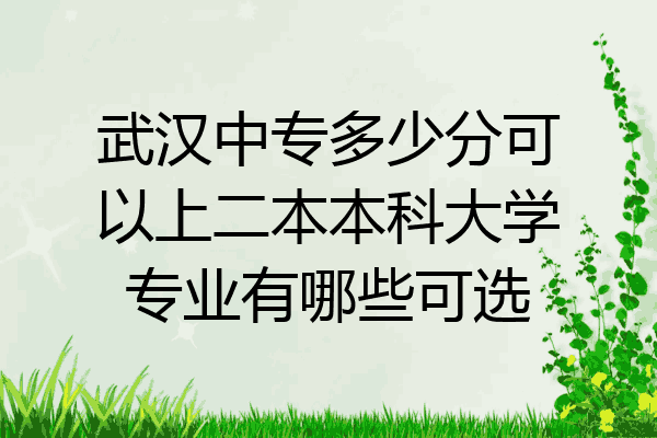 武汉中专多少分可以上二本本科大学专业有哪些可选