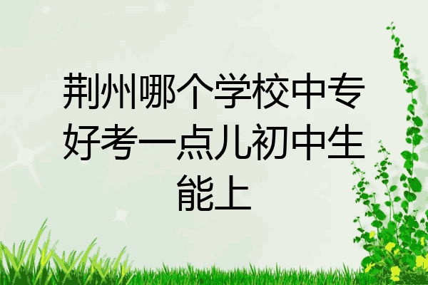 荆州哪个学校中专好考一点儿初中生能上