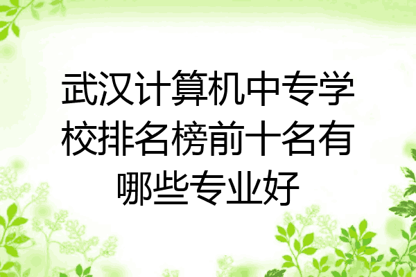 武汉计算机中专学校排名榜前十名有哪些专业好