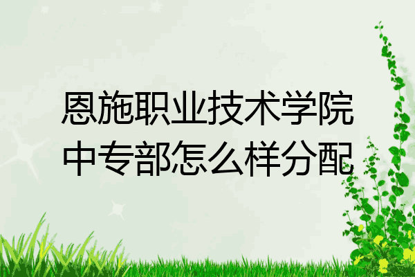恩施职业技术学院中专部怎么样分配