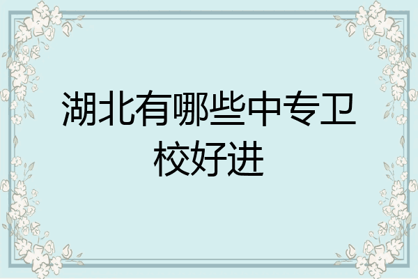 湖北有哪些中专卫校好进