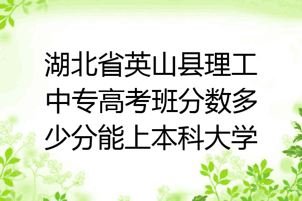 湖北省英山县理工中专高考班分数多少分能上本科大学