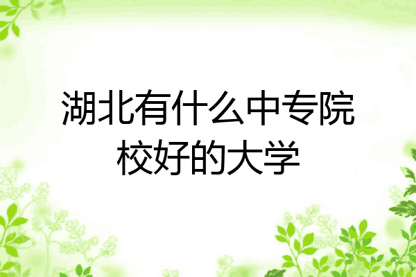 湖北有什么中专院校好的大学