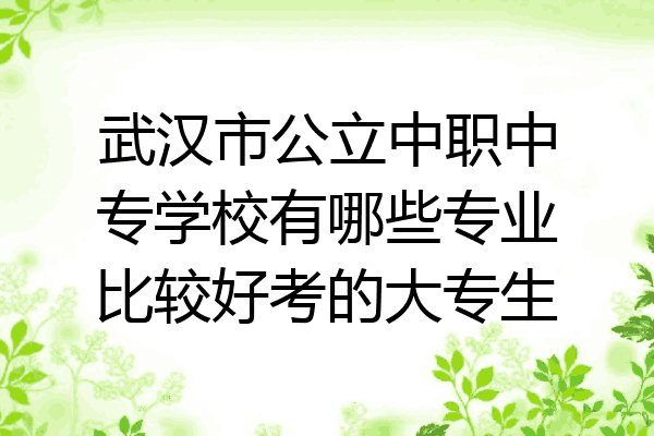武汉市公立中职中专学校有哪些专业比较好考的大专生