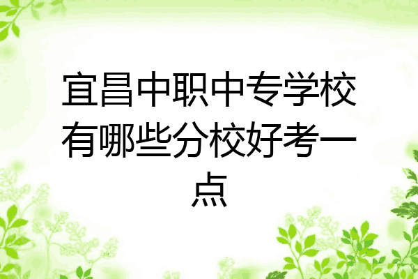 宜昌中职中专学校有哪些分校好考一点