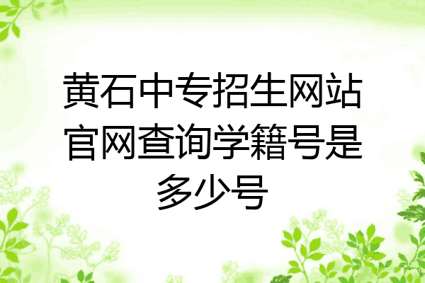 黄石中专招生网站官网查询学籍号是多少号