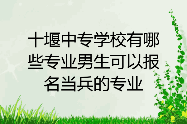 十堰中专学校有哪些专业男生可以报名当兵的专业