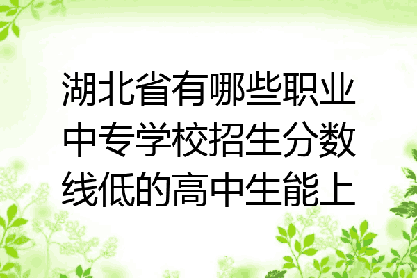 湖北省有哪些职业中专学校招生分数线低的高中生能上