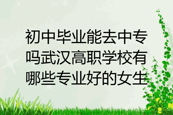 初中毕业能去中专吗武汉高职学校有哪些专业好的女生