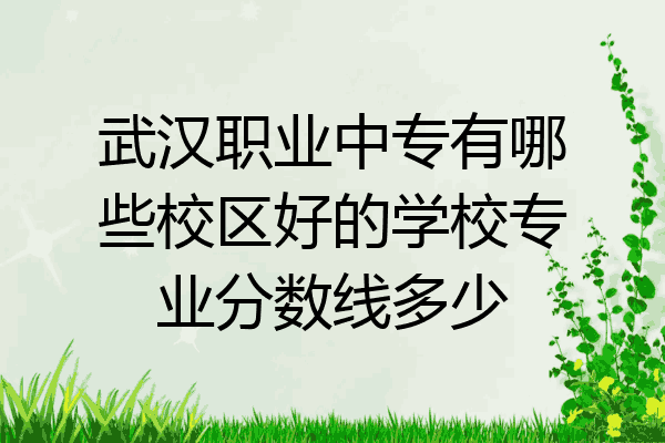武汉职业中专有哪些校区好的学校专业分数线多少
