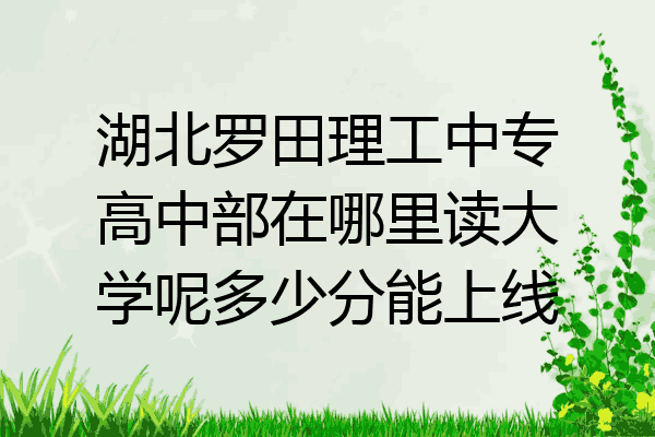 湖北罗田理工中专高中部在哪里读大学呢多少分能上线