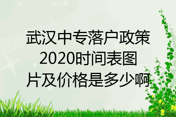 武汉中专落户政策2020时间表图片及价格是多少啊