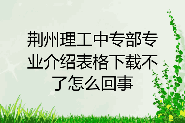 荆州理工中专部专业介绍表格下载不了怎么回事
