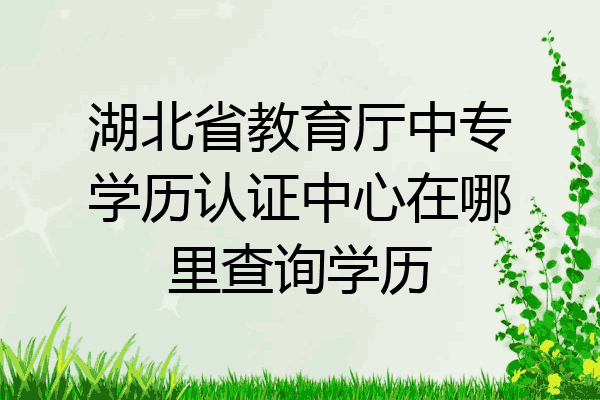湖北省教育厅中专学历认证中心在哪里查询学历