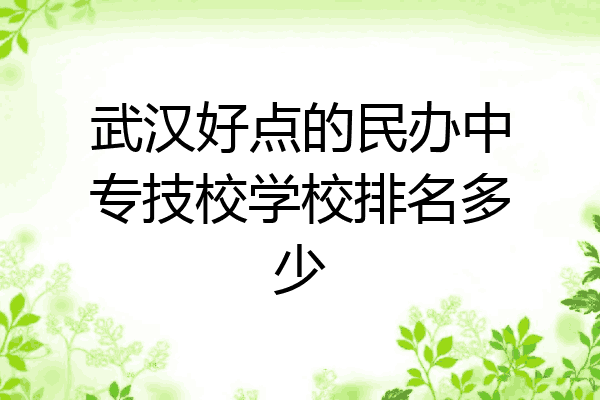 武汉好点的民办中专技校学校排名多少