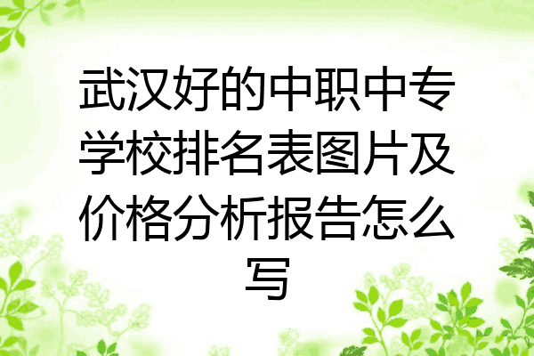 武汉好的中职中专学校排名表图片及价格分析报告怎么写
