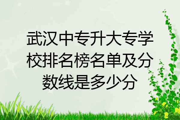 武汉中专升大专学校排名榜名单及分数线是多少分
