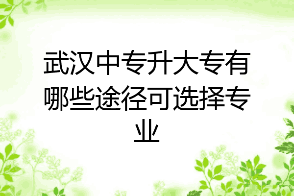 武汉中专升大专有哪些途径可选择专业