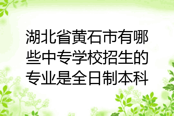 湖北省黄石市有哪些中专学校招生的专业是全日制本科