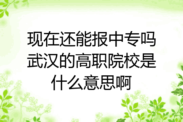 现在还能报中专吗武汉的高职院校是什么意思啊