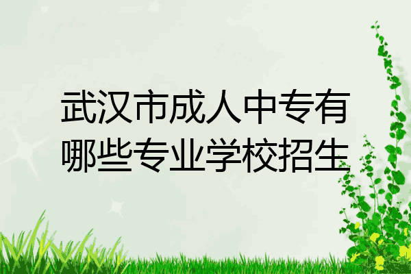 武汉市成人中专有哪些专业学校招生