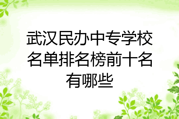 武汉民办中专学校名单排名榜前十名有哪些