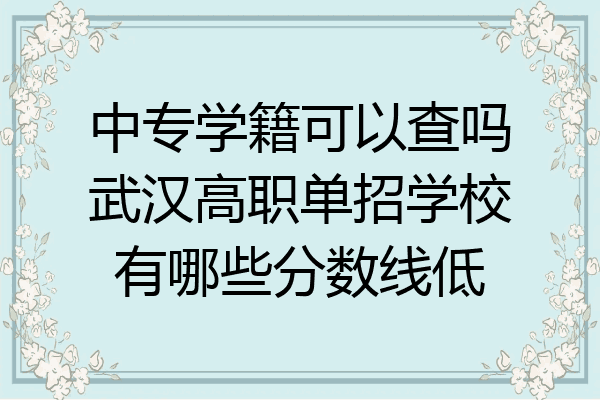 中专学籍可以查吗武汉高职单招学校有哪些分数线低