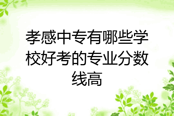 孝感中专有哪些学校好考的专业分数线高